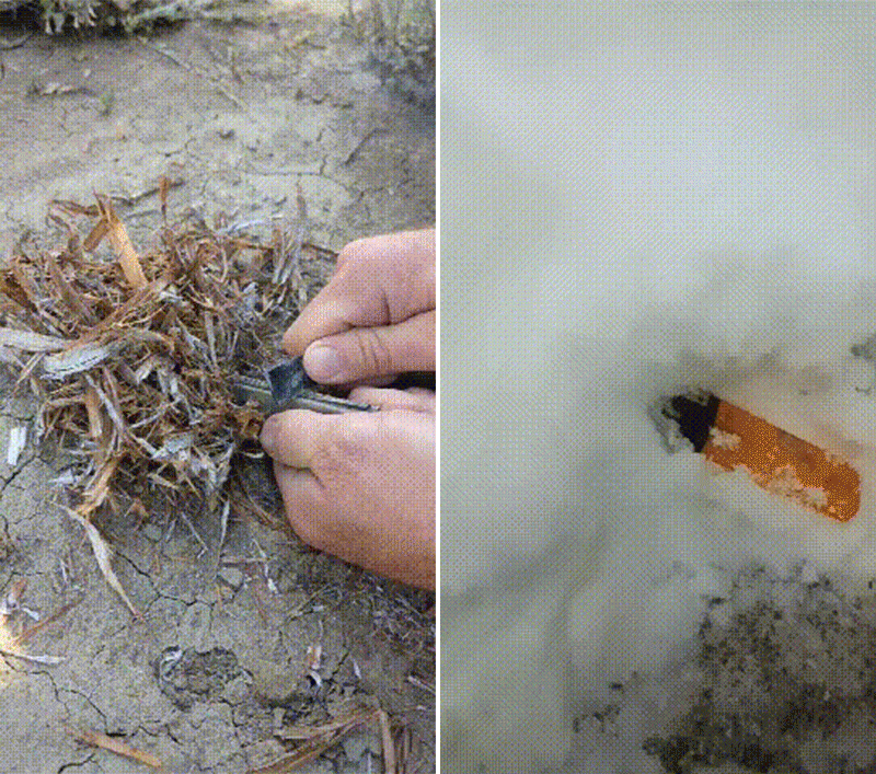 COD单页系统建站,联系QQ:494906791/微信:Cod_web