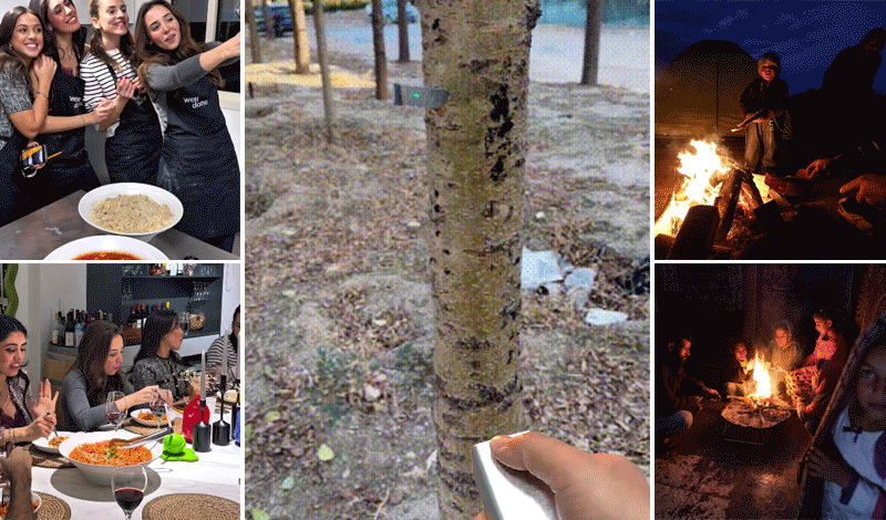 COD单页系统建站,联系QQ:494906791/微信:Cod_web